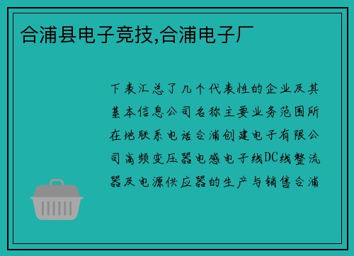 合浦县电子竞技,合浦电子厂